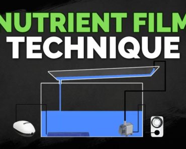 Nutrient Film Technique (NFT) Hydroponics System Tutorial
