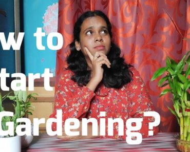 Tips to start your gardening journey | Tamil | à®¤à®®à®¿à®´à¯�
