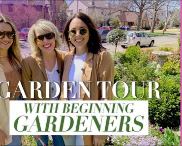 🌸🍃🌸 Garden Tips For Beginners ❣️ What gardening basics do you want to know?