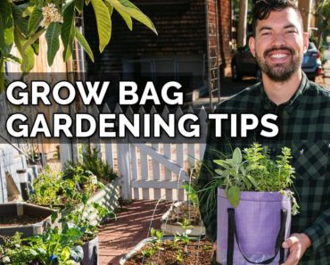 6 Secret Grow Bag Techniques to Maximize Your Results