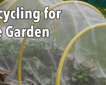 Recycling for the Garden: Upcycling Items for a More Productive Vegetable Garden