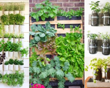 33+ DIY Herb Gardening for Beginners | DIY Gardening