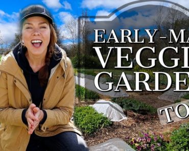 Vegetable Garden Tour Early-May 2021:  Zone 6a, Ohio