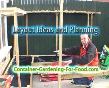 Vegetable Garden Layout Ideas and Planning For a Very Small Garden