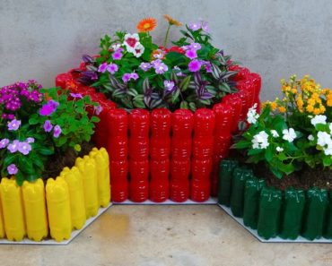 Easy pot making tips – Make unique flower pots out of plastic bottles for small garden