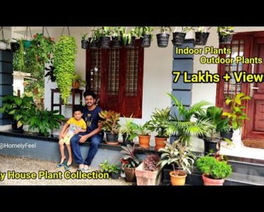 My House plant collection | Indoor and Outdoor plants | In Malayalam by Diyab