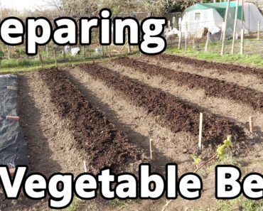 Preparing Vegetable Beds