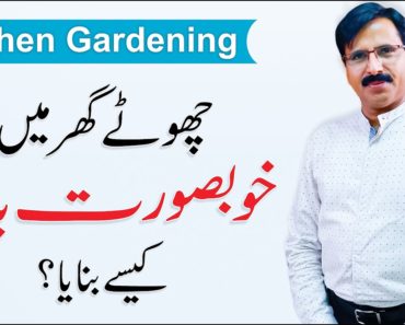 Home Gardening for beginners – Inspiring Story of Green Garden By Javed Iqbal