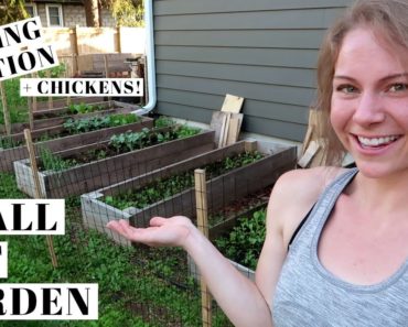 SPRING GARDEN TOUR | Small Homestead Layout | SPACE SAVING Vegetable Gardening | Permaculture