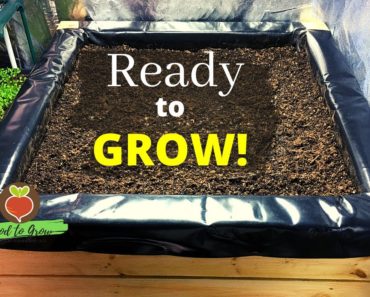 Building a Mobile Indoor Raised Bed & Prepping for Indoor Gardening in a Grow Tent | Zone 5