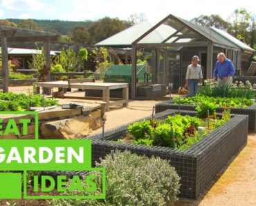Graham Ross Visits the ULTIMATE Vegetable Garden | GARDEN | Great Home Ideas