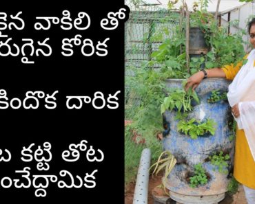 Tower Garden- Stunning Home Garden Ideas/ Balcony Garden /Grow Vegetable Garden in Single Barrel