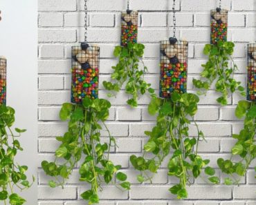 New way gabion flower pot ideas / hanging plants ideas / gardening ideas for home