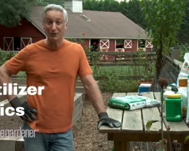 Learn the Basics of Fertilizer