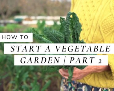 How To Start A Vegetable Garden – Part 2, Selecting Your Vegetables | A Beginner's Guide