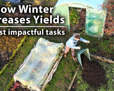 5 Winter Tasks for a Productive Vegetable Garden Next Year | Permaculture Gardening