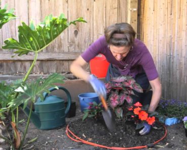 How to Plant a Round Flower Bed Full of Annuals : Beautiful Gardens & Plant Care