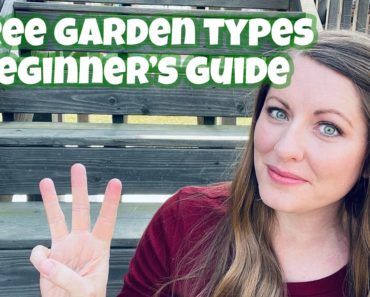 Three Garden Types for Beginners | Beginner's Guide To Three Types Of Gardening
