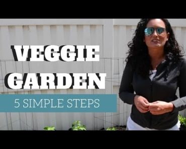 Grow a Vegetable Garden | 5 Simple Tips to Start