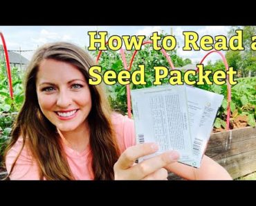 A Beginner's Guide To Seed Packet Information | How to Read a Seed Packet | Beginner Gardening Tips