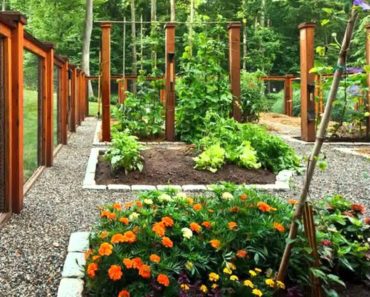 Vegetable Home garden landscaping fence ideas