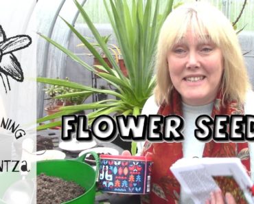 Tips & Tricks for Flower Seed Sowing || Making Seed Potting Mix