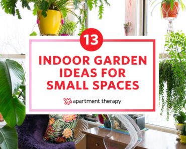 13 Indoor Garden Ideas For Small Spaces | Apartment Therapy