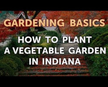 How to Plant a Vegetable Garden in Indiana