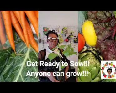 Ready to Sow?! Tips on How to Start Gardening for Beginner Gardeners