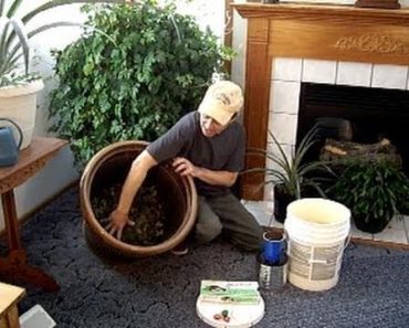 EASY Indoor composting anytime!