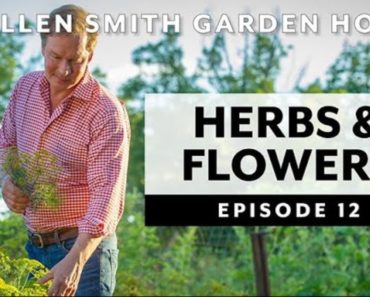 Herb and Flower Combinations: Garden Home VLOG (2019) 4K