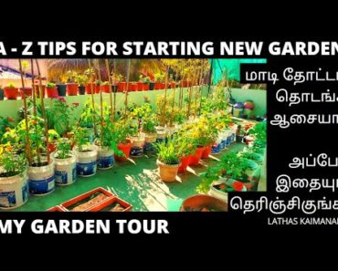 Maadi thottam ideas in tamil | Terrace gardening for beginners in tamil |How to setup terrace garden