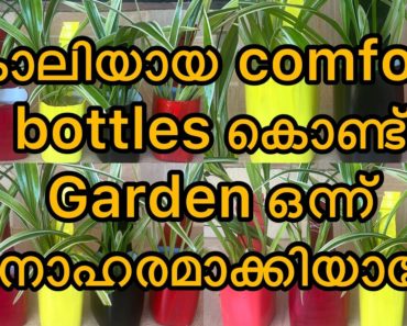 Flower pot making from recycle materials |planter ideas|gardening ideas for home|comfort bottle