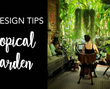 How to create a tropical garden | 10 TIPS to transform your garden