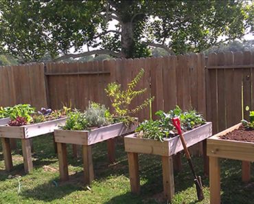 [Garden Ideas] raised vegetable planters