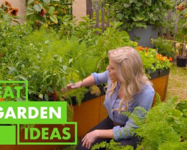 How to Grow Heirloom Vegetables | GARDEN | Great Home Ideas