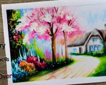How to draw Nature Scenery | A beautiful garden painting for beginners in color pencils step by step