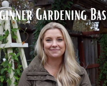 Gardening for Beginners Series:  Gardening Basics for Beginners