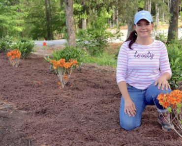 Flower Bed – Tips, Ideas, and a Video | Gardening with Creekside