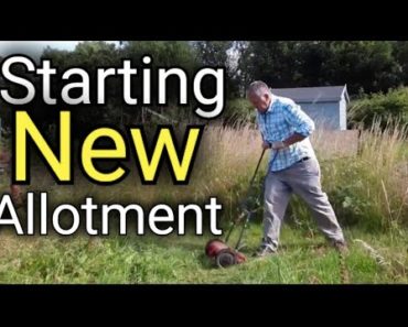 How to Start a  Allotment | Gardening for Beginners