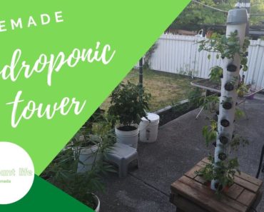 How to build a homemade hydroponic tower