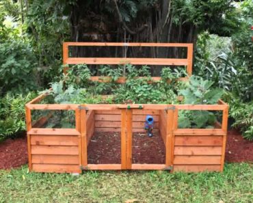 Small Home backyard vegetable garden ideas