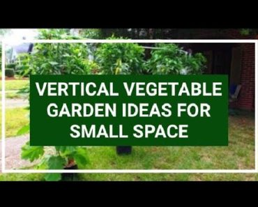 VERTICAL VEGETABLE GARDEN IDEAS FOR SMALL SPACE | diy garden