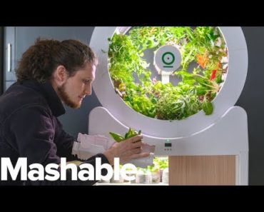 Smart Indoor Garden Grows 90 Fruits and Veggies at Once – Future Blink