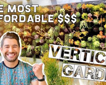 THE MOST AFFORDABLE VERTICAL GARDEN – IKEA HACK