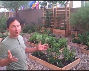 How to Grow a Vegetable Garden if you RENT your Home