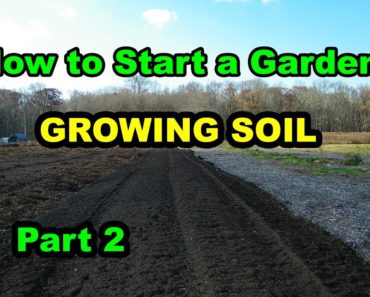 How to Start a Vegetable Garden or Food Forest for beginners with Composting Fall Leaves. Part 2