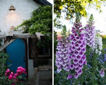 A romantic, slow stroll through the cottage gardens (with flower names!)