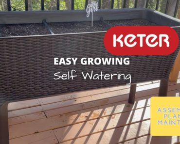 Keter Easy Growing  | Self Watering | Raised Bed | How To | Garden | Beginners