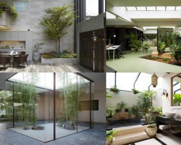 50 Best Indoor Garden Design Ideas | Indoor Garden For Small Space